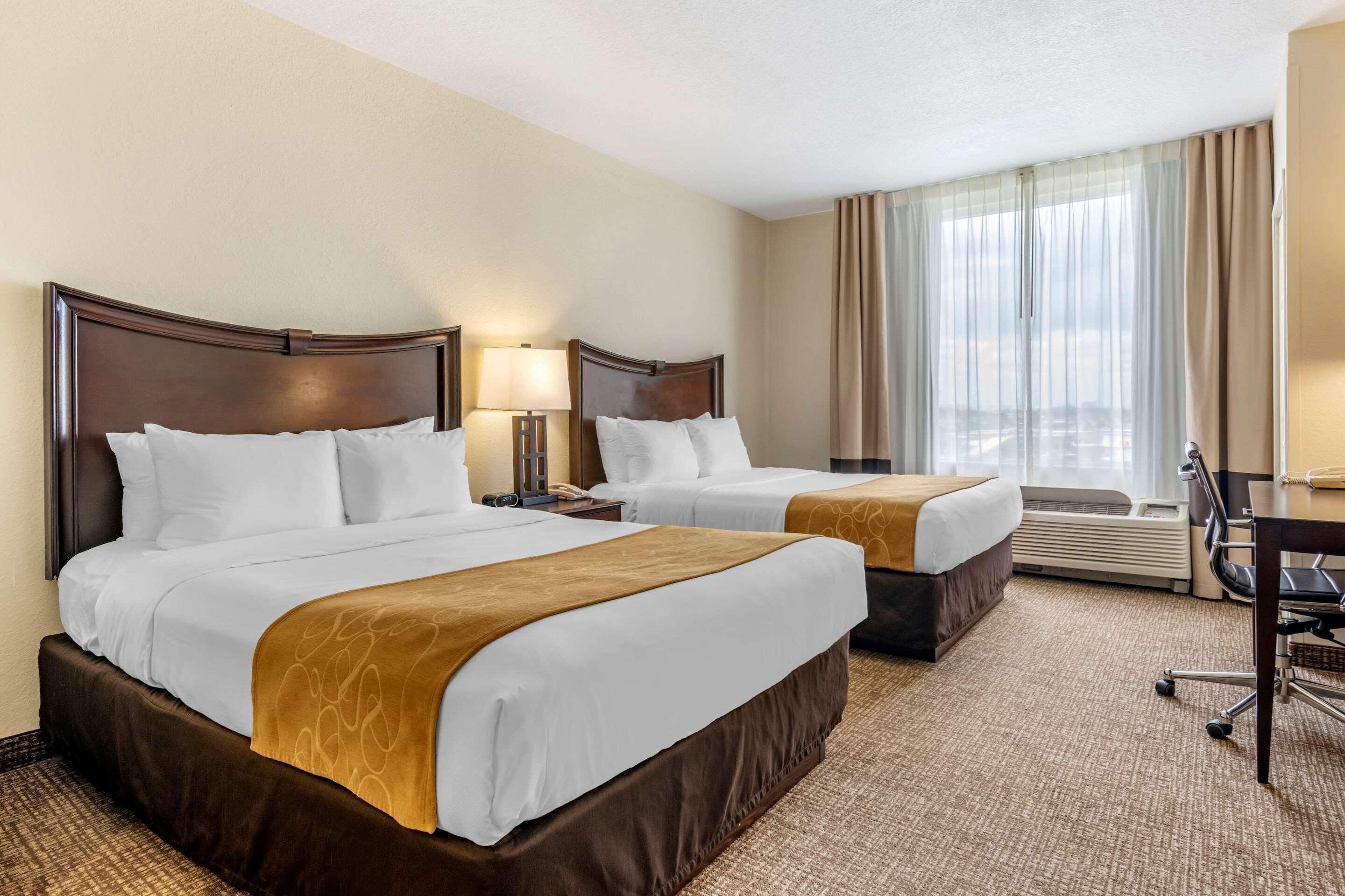 Suite Lit Queen-Size