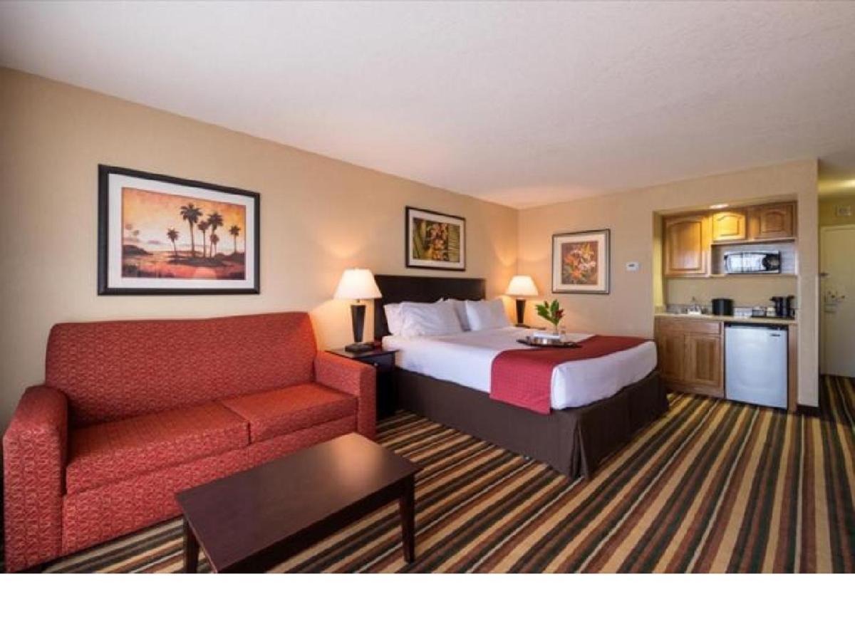 Premium King Room Sofa Bed,1287724054:JPEG