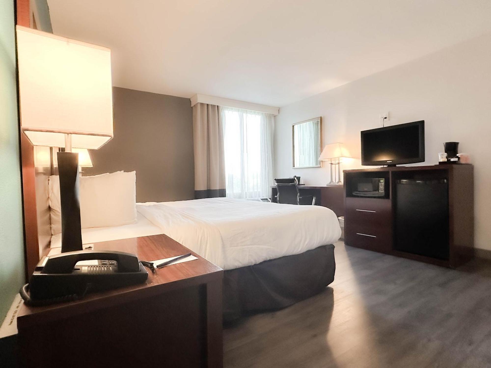 Deluxe King Room with Sofa Bed
