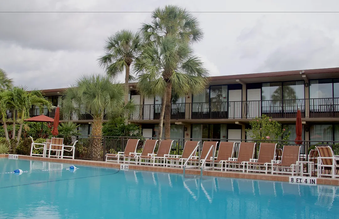 Magic Tree Resort-1