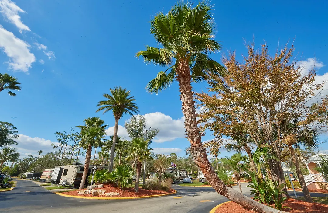Tropical Palms Resort & Campground-1