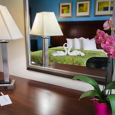 Ramada By Wyndham Flamingo Water Park-3