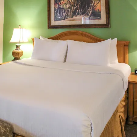 Hilton Vacation Club Polynesian Isles Kissimmee-3
