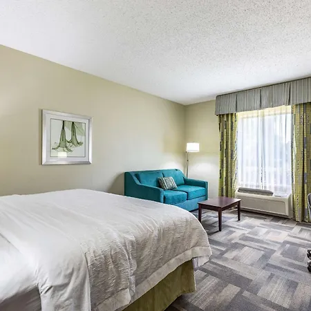 Hampton Inn & Suites Orlando-South Lake Buena Vista-3
