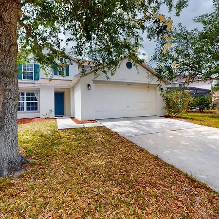 Dreamy Life In Kissimmee-3