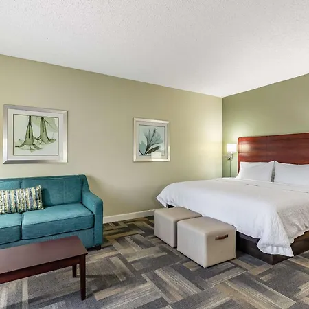 Hampton Inn & Suites Orlando-South Lake Buena Vista-2