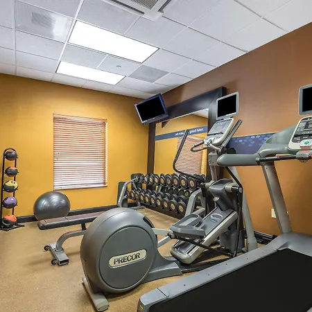Hampton Inn & Suites Orlando-South Lake Buena Vista-3