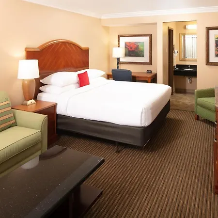 Maingate Kissimmee Hotel-3