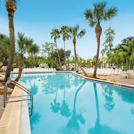 Tropical Palms Resort-2