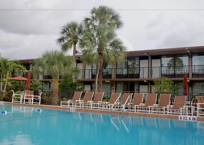 Magic Tree Resort